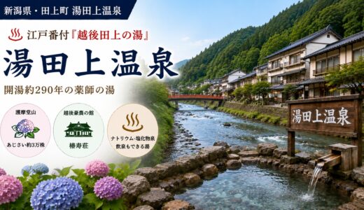 新潟・湯田上温泉ガイド｜江戸番付『越後田上の湯』×護摩堂山あじさい3万株と1738年開湯約290年の薬師の湯