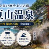 静岡・伊豆山温泉ガイド｜走り湯と源頼朝・北条政子ゆかりの社、江戸番付『権現の湯』