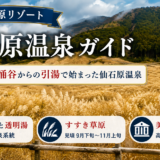 仙石原温泉ガイド｜1736年の引湯から生まれた高原リゾートとすすき草原