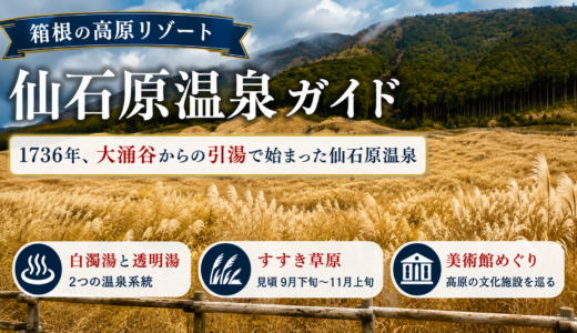 仙石原温泉ガイド｜1736年の引湯から生まれた高原リゾートとすすき草原