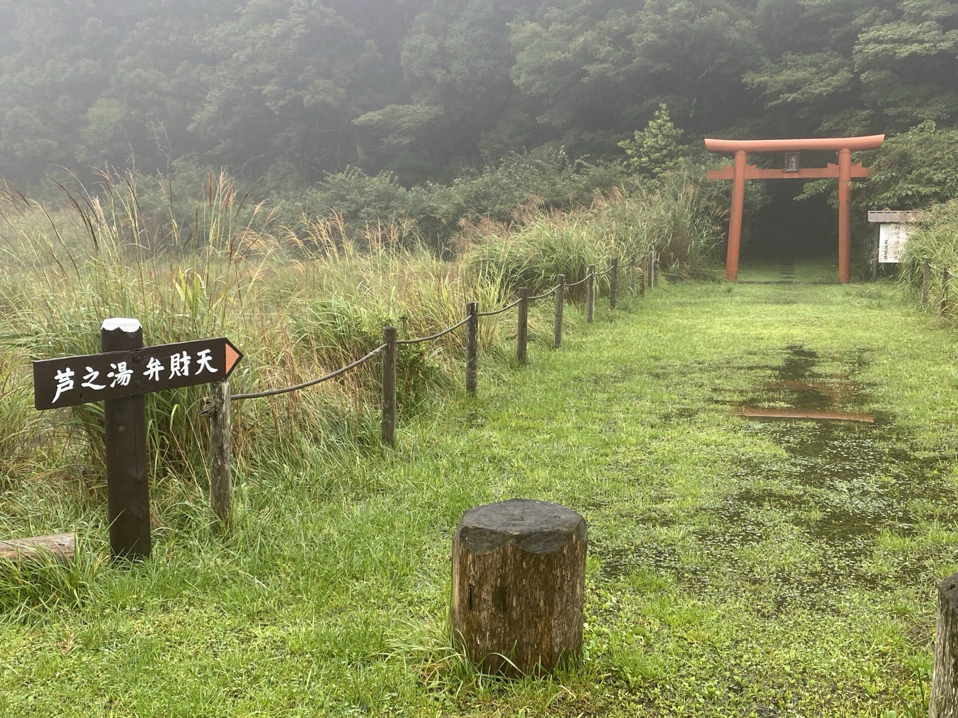 芦之湯 弁財天の朱塗りの鳥居｜箱根・芦之湯 きのくにや