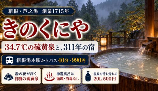 箱根・芦之湯温泉 きのくにや宿泊記──34.7℃の硫黄泉と、創業311年の宿に泊まった