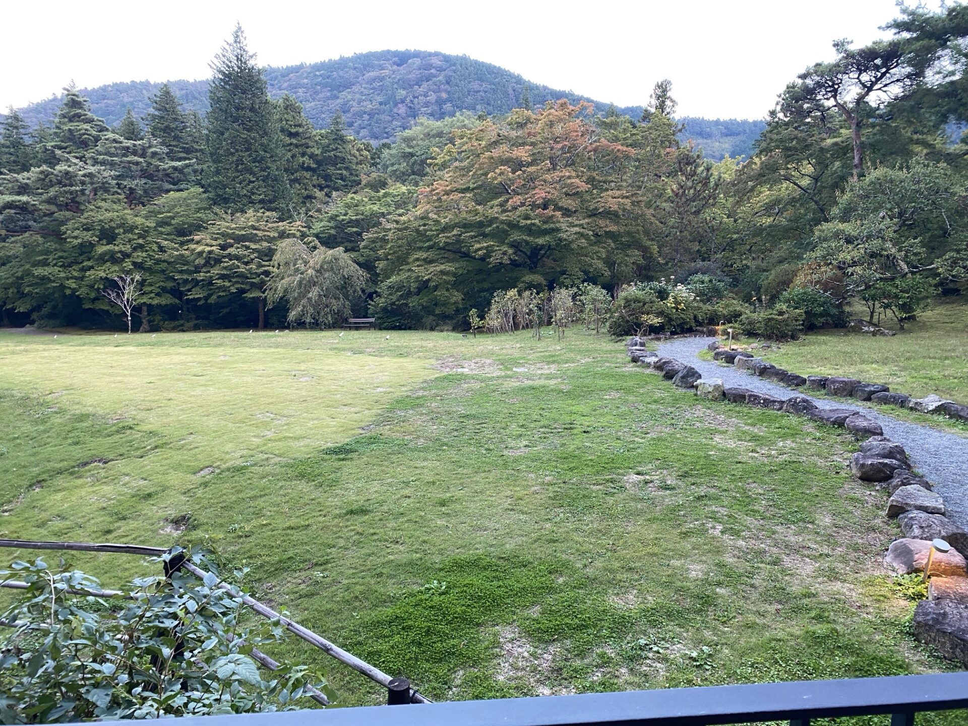 日本庭園の芝生と小道|箱根ホテル小涌園