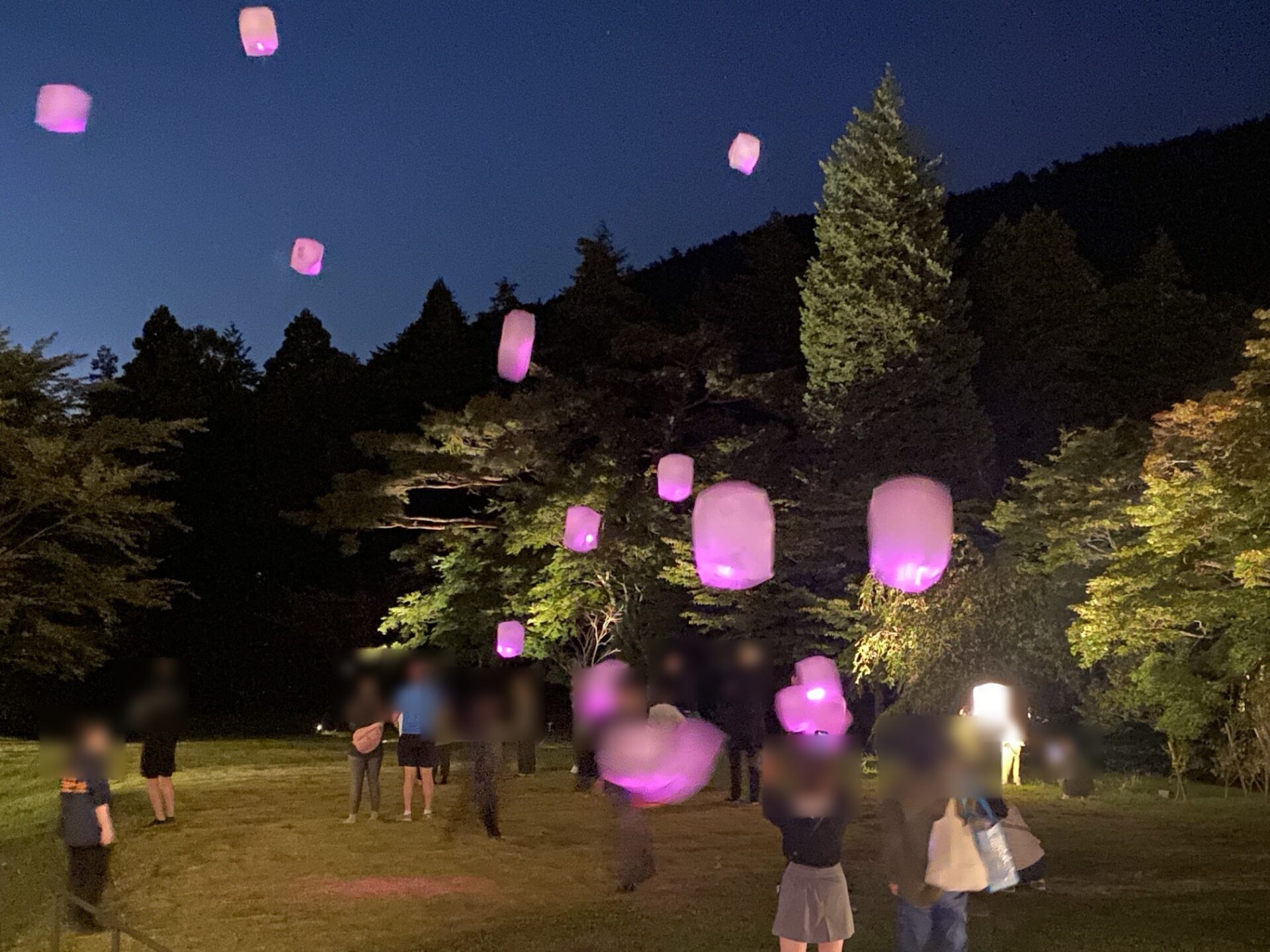 夜空に上がるピンク色のランタン(ランタンナイト)|箱根ホテル小涌園