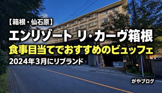 仙石原 エンリゾート リ・カーヴ箱根 宿泊レビュー｜絶品ビュッフェとにごり温泉