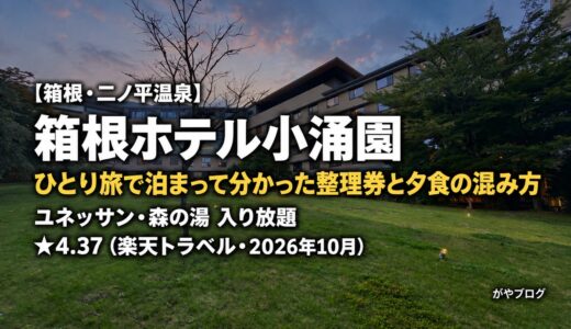 箱根ホテル小涌園 宿泊レビュー｜チェックインは整理券を取って先にユネッサンへ