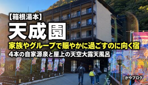 箱根湯本 天成園 宿泊記ブログ｜4本の自家源泉と屋上露天、駅から徒歩20分の坂